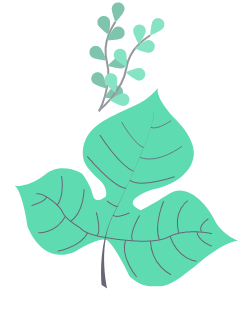 illustration of leaf